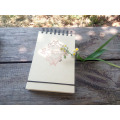 Cheap Mini Spiral Paper Notebook for Promotion (42K)